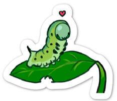 Lil Caterpillar