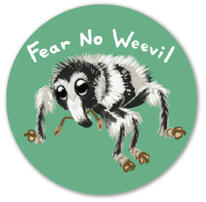Fear No Weevil